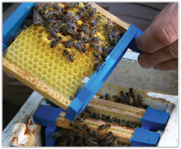 Tworzenie odkładów